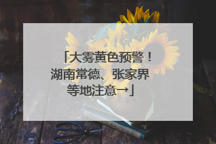大雾黄色预警！湖南常德、张家界等地注意→
