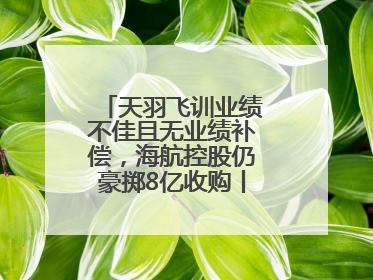 天羽飞训业绩不佳且无业绩补偿，海航控股仍豪掷8亿收购丨一周市场观察