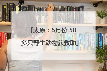 太原：5月份 50多只野生动物获救助