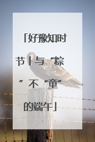 好豫知时节丨与“粽”不“童”的端午