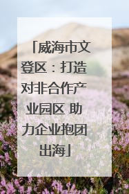 威海市文登区：打造对非合作产业园区 助力企业抱团出海