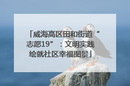威海高区田和街道“志愿19”：文明实践绘就社区幸福图景