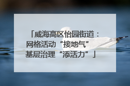 威海高区怡园街道：网格活动“接地气” 基层治理“添活力”