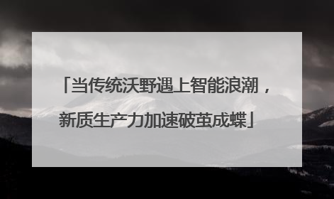 当传统沃野遇上智能浪潮，新质生产力加速破茧成蝶
