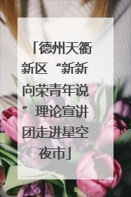 德州天衢新区“新新向荣青年说”理论宣讲团走进星空夜市