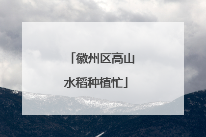 徽州区高山水稻种植忙