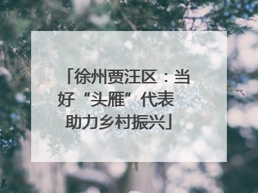 徐州贾汪区：当好“头雁”代表 助力乡村振兴