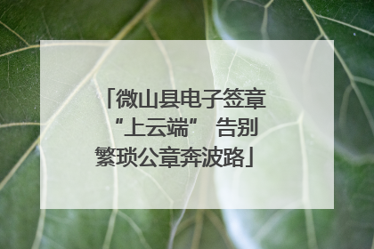 微山县电子签章“上云端” 告别繁琐公章奔波路