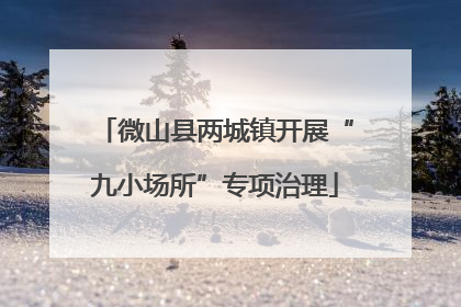 微山县两城镇开展“九小场所”专项治理