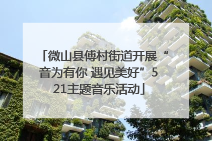 微山县傅村街道开展“音为有你 遇见美好”521主题音乐活动