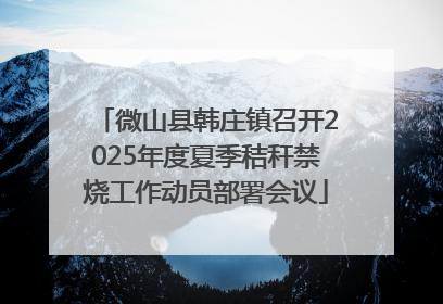 微山县韩庄镇召开2025年度夏季秸秆禁烧工作动员部署会议