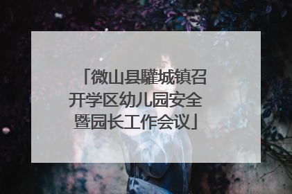 微山县驩城镇召开学区幼儿园安全暨园长工作会议