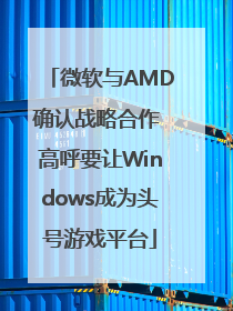 微软与AMD确认战略合作 高呼要让Windows成为头号游戏平台