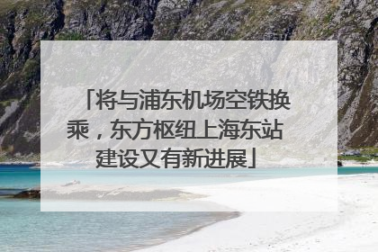 将与浦东机场空铁换乘，东方枢纽上海东站建设又有新进展