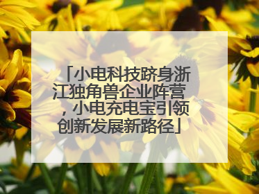 小电科技跻身浙江独角兽企业阵营，小电充电宝引领创新发展新路径