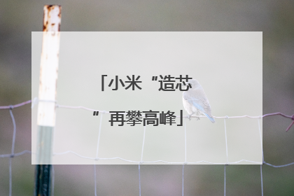 小米“造芯”再攀高峰