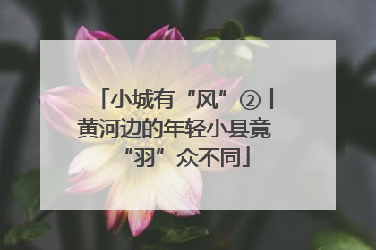 小城有“风”②丨黄河边的年轻小县竟“羽”众不同