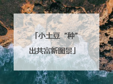 小土豆“种”出共富新图景