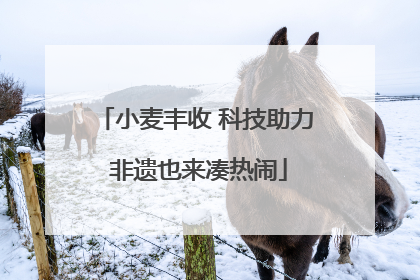 小麦丰收 科技助力 非遗也来凑热闹