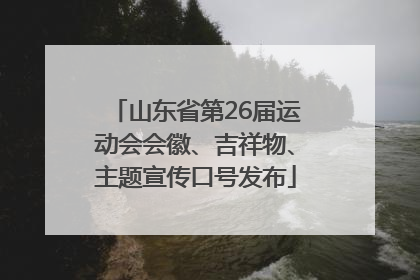 山东省第26届运动会会徽、吉祥物、主题宣传口号发布