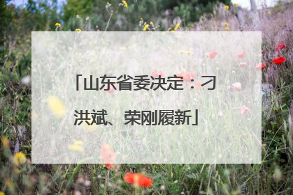 山东省委决定：刁洪斌、荣刚履新