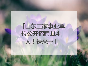 山东三家事业单位公开招聘114人！速来→