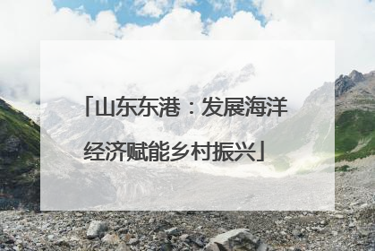 山东东港：发展海洋经济赋能乡村振兴