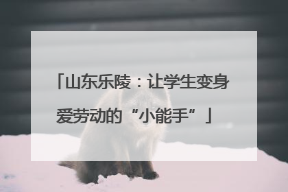山东乐陵：让学生变身爱劳动的“小能手”