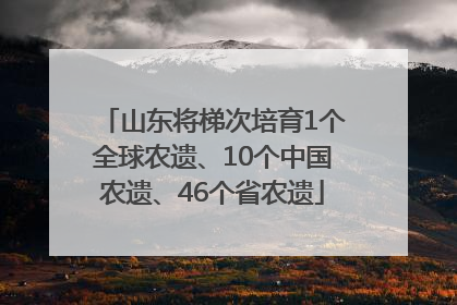 山东将梯次培育1个全球农遗、10个中国农遗、46个省农遗
