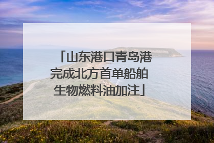 山东港口青岛港完成北方首单船舶生物燃料油加注