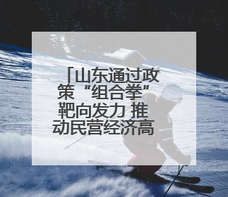 山东通过政策“组合拳”靶向发力 推动民营经济高质量发展