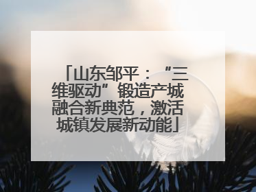 山东邹平：“三维驱动”锻造产城融合新典范，激活城镇发展新动能