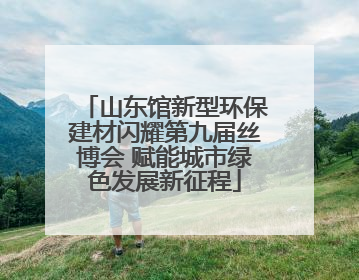 山东馆新型环保建材闪耀第九届丝博会 赋能城市绿色发展新征程