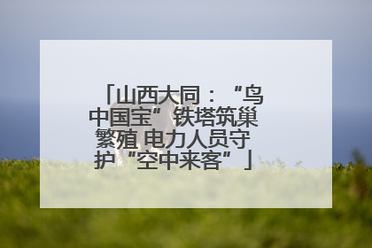 山西大同：“鸟中国宝”铁塔筑巢繁殖 电力人员守护“空中来客”