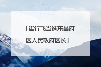 崔行飞当选东昌府区人民政府区长