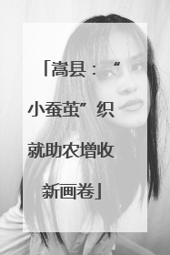 嵩县：“小蚕茧”织就助农增收新画卷