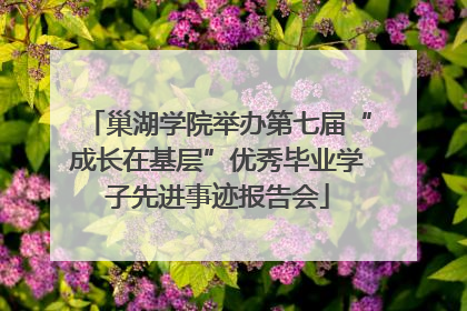 巢湖学院举办第七届“成长在基层”优秀毕业学子先进事迹报告会