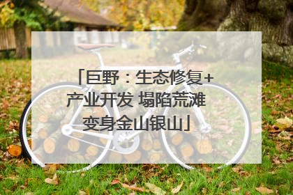 巨野：生态修复+产业开发 塌陷荒滩变身金山银山