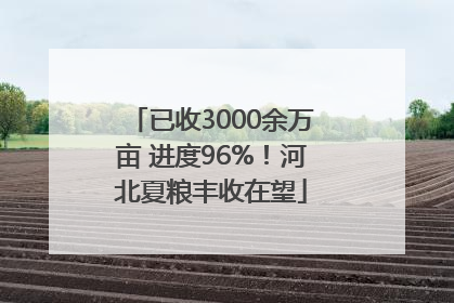 已收3000余万亩 进度96%！河北夏粮丰收在望