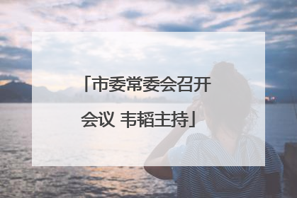 市委常委会召开会议 韦韬主持