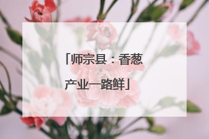 师宗县：香葱产业一路鲜