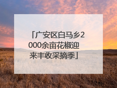 广安区白马乡2000余亩花椒迎来丰收采摘季