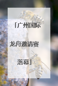 广州国际龙舟邀请赛落幕