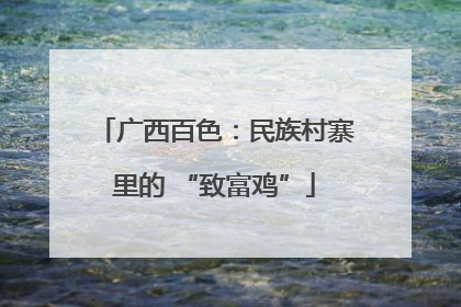 广西百色：民族村寨里的 “致富鸡”