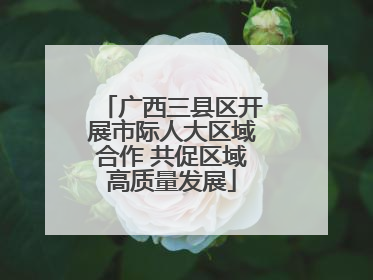 广西三县区开展市际人大区域合作 共促区域高质量发展