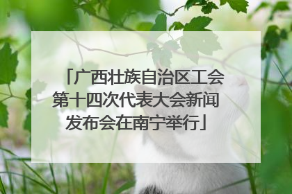广西壮族自治区工会第十四次代表大会新闻发布会在南宁举行