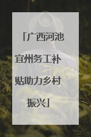 广西河池宜州务工补贴助力乡村振兴