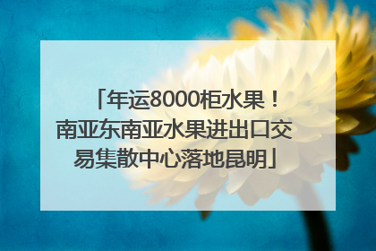 年运8000柜水果！南亚东南亚水果进出口交易集散中心落地昆明
