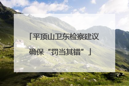 平顶山卫东检察建议确保“罚当其错”