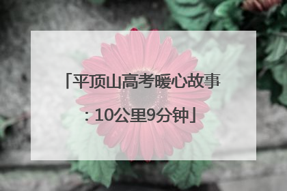 平顶山高考暖心故事：10公里9分钟